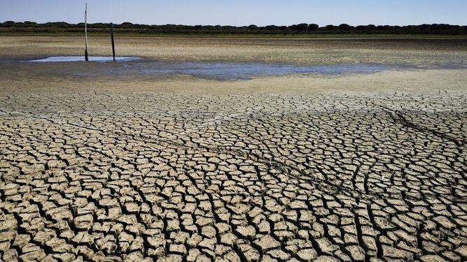 España será cada vez más improductiva e inflamable, según Greenpeace
